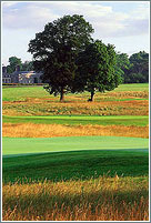 Golf Travel