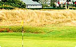 Royal St Davids Golf Course 