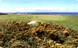 Dunbar Golf Course