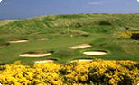 Royal Aberdeen Golf Courses